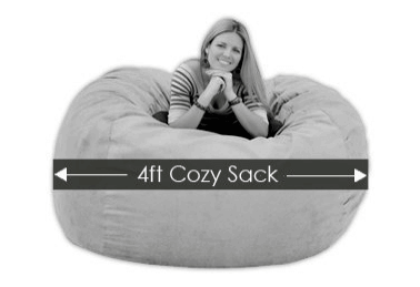 Cozy Sack 4-Feet Bean Bag Chair